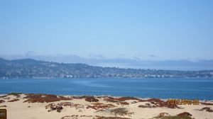 IMG_3065_800.jpg