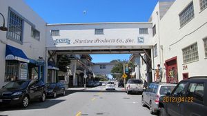 IMG_3088_800.jpg