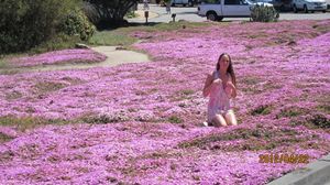 IMG_3105_800.jpg