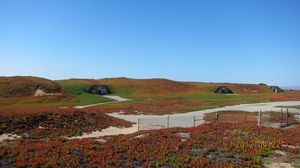 IMG_3136_800.jpg