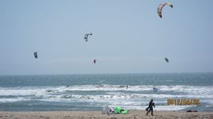 IMG_3159_800.jpg