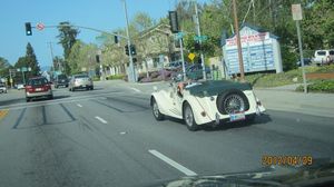 IMG_3171_800.jpg