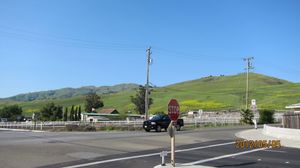 IMG_3192_800.jpg
