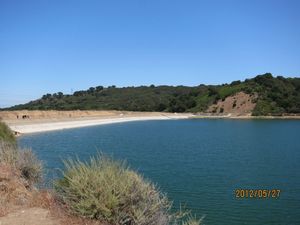 IMG_3204_800.jpg