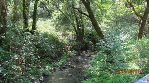 IMG_3215_800.jpg
