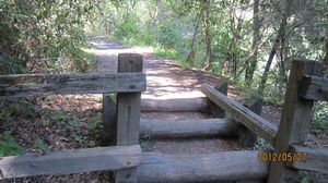IMG_3221_800.jpg