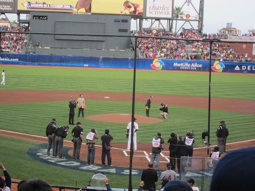 IMG_7374_800.jpg