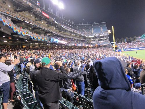 IMG_7397_800.jpg