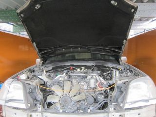 IMG_3577_1600_320.jpg